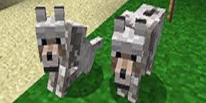 2048x1536 Minecraft Wolf [Minecraft] [Skin Mods]