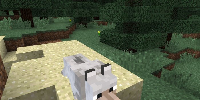 2048x1536 Wolves, Snow and a lot of Forest - Epic Minecraft PE Seeds