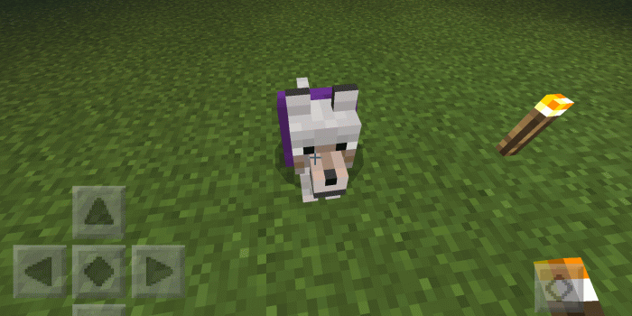 1920x1200 Wolf in Minecraft “Wolf that isn't tamed that is tamed