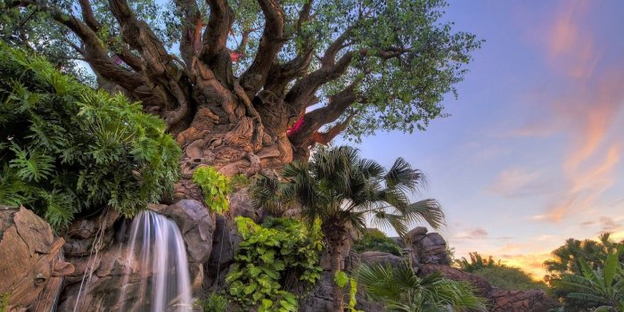 1332x850 Wallpaper trees, Park, waterfall, FL, Florida, Disney world