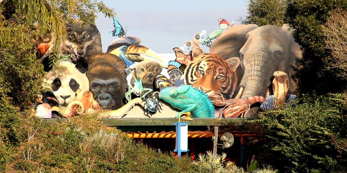 2560x1440 Disney's Animal Kingdom Wallpapers