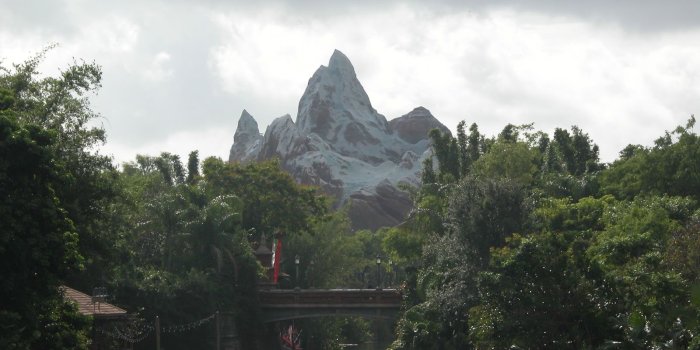 1600x1200 Disney World Animal Kingdom - Desktop Wallpaper - 1600 x 1200