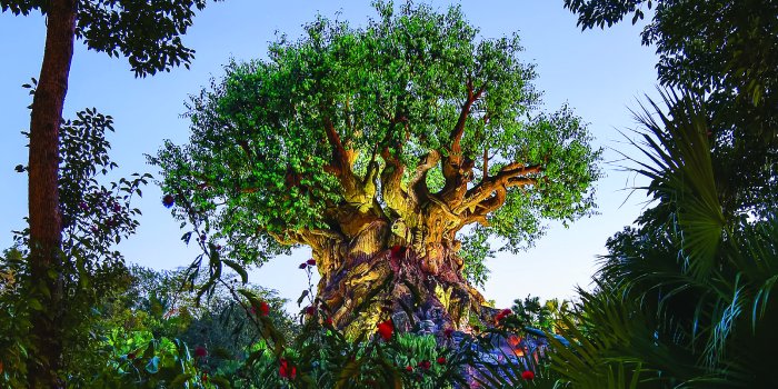 1900x1200 BONUS: Park Icon Wallpapers! - WDW Magazine