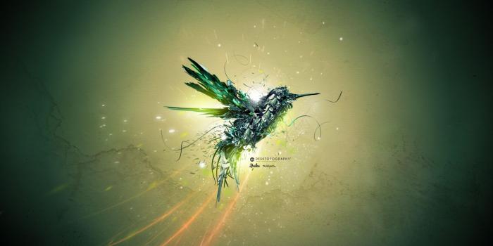 1920x1080 Hummingbird Art Wallpaper #6946511