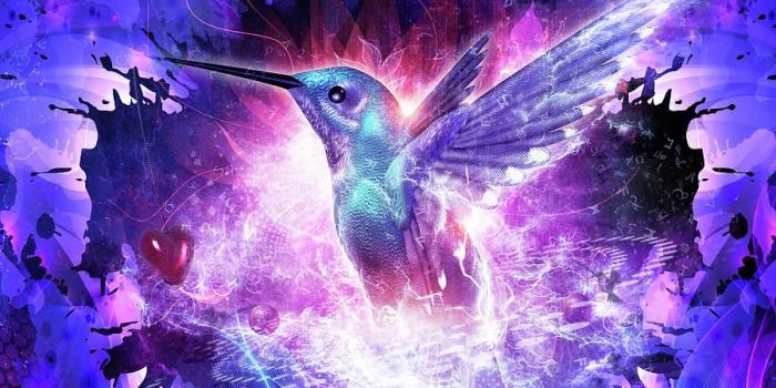 900x900 Hummingbird Love by Cameron Gray