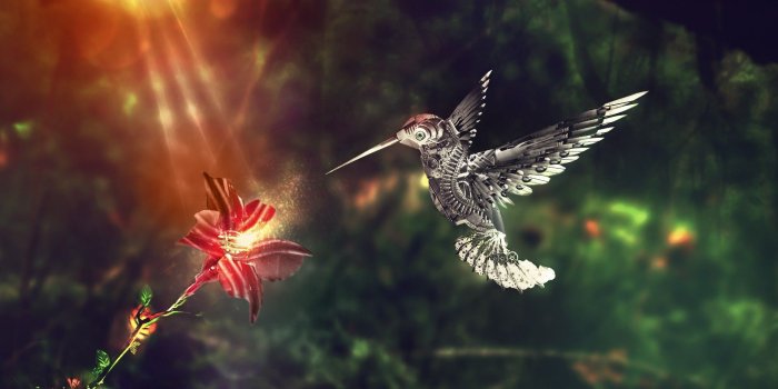 1920x1080 2816229 1920x1080 animals hummingbirds digital art flowers sunlight
