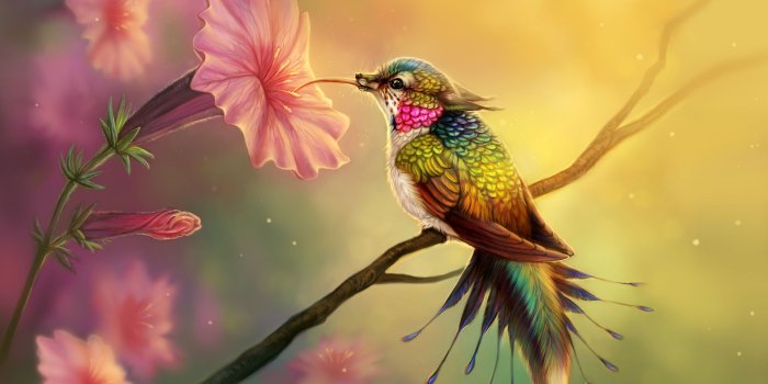 2560x1440 2560x1440 Hummingbird Fantasy Abstract Fractal 1440P Resolution HD