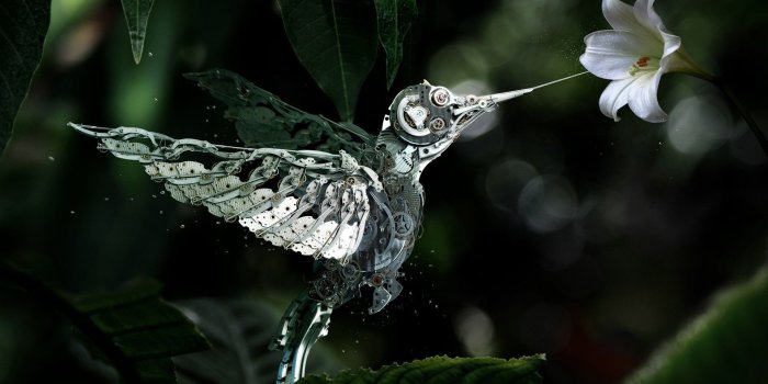 1920x1080 2816210 1920x1080 animals digital art flowers hummingbirds machine