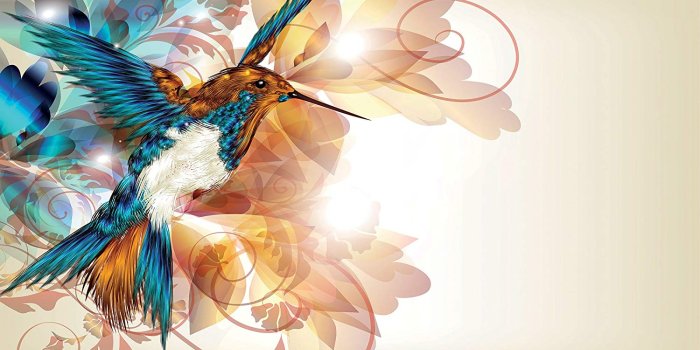 1500x918 Hummingbird Wallpaper Mural - - Amazon.com