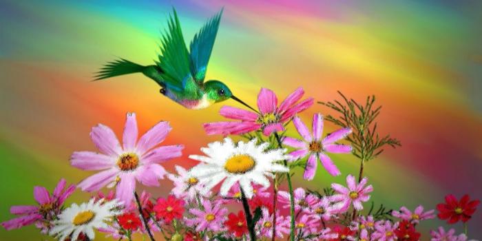 1024x768 Colorful Hummingbirds Paintings HD Wallpaper, Background Images