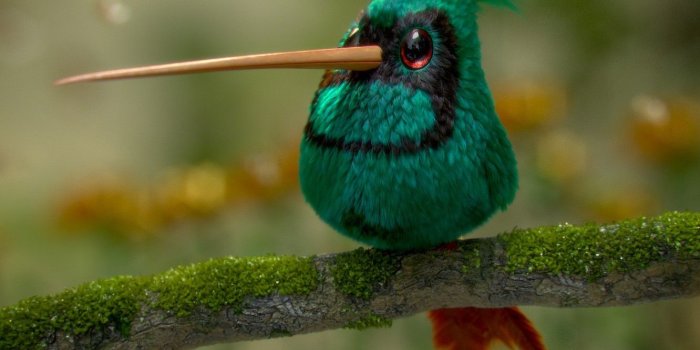 1332x850 Wallpaper art, bird, Hummingbird, children's, Cristian Bolivar