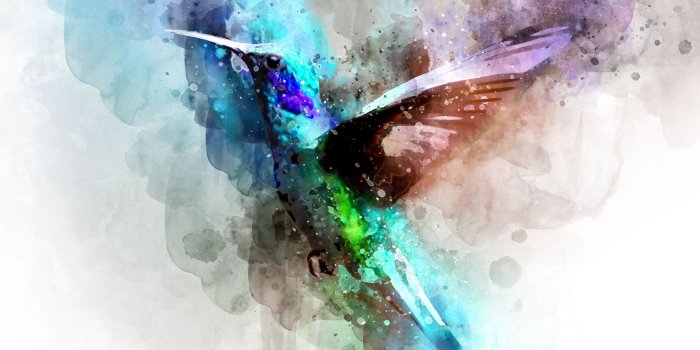 2560x1440 Download 2560x1440 wallpaper bird, hummingbird, digital art, dual