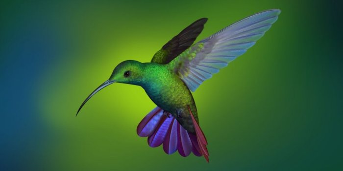 1024x768 Desktop wallpaper hummingbird, blur, art, flight, hd image, picture