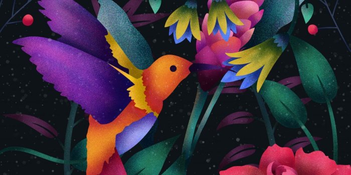 1280x720 Wallpaper Hummingbird, Abstract, Colorful, Digital art, Flowers, HD