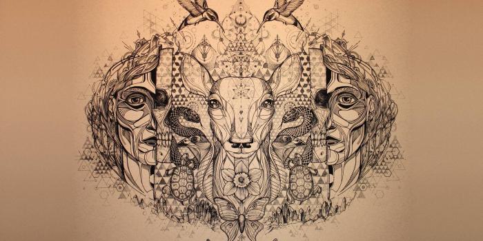 1920x1080 Fantasy, Psychedelic, Snake,deer, Hummingbird, Abstract, Digital Art