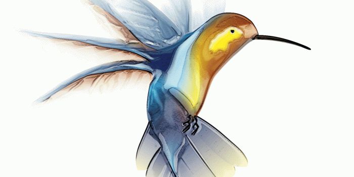 1680x1050 Download Animated Hummingbird Clip Art Image [1800x1500] | 47+