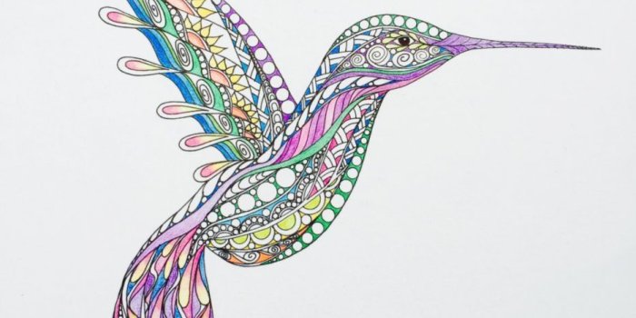 934x1245 Neoteric Hummingbird Wall Decor Zentangle Art Bird - Zentangle