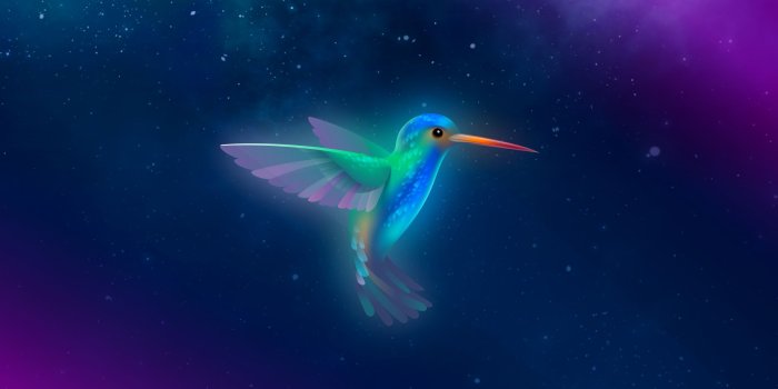 2560x1440 artwork, #digital art, #birds, #hummingbird, #hummingbirds
