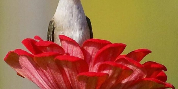 939x1174 407 curtidas, 6 comentários - EU SIGO AS CORES (@rosecplima) no