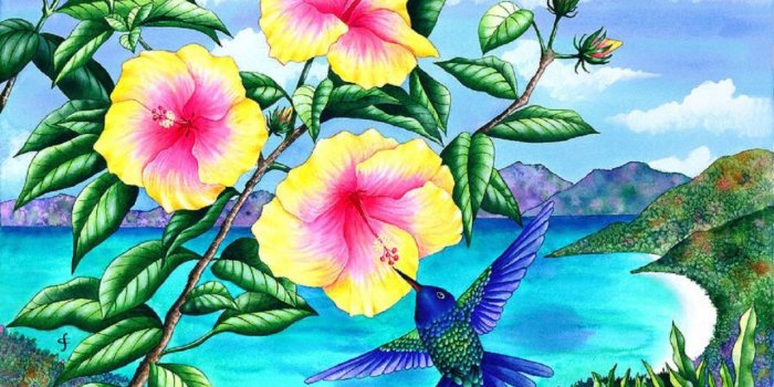 1280x804 Hummingbirds & Yellow Hibiscus wallpapers | Hummingbirds & Yellow