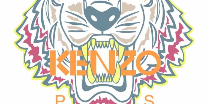 920x983 Versace Logo Wallpaper, Pc Versace Logo Wallpaper Most Free PNG