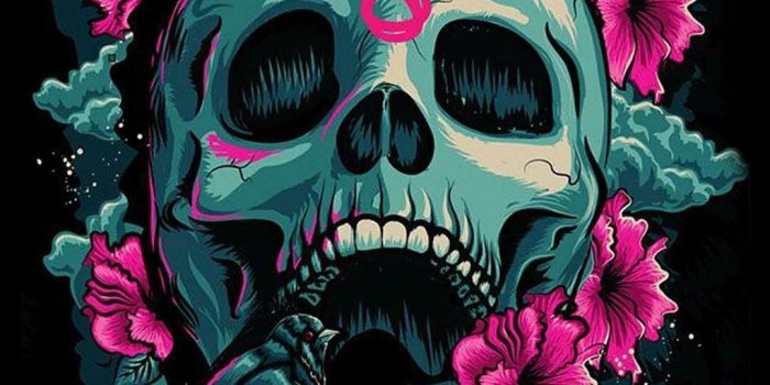 1080x1920 40+ Hipster Skull Wallpapers - Download at WallpaperBro