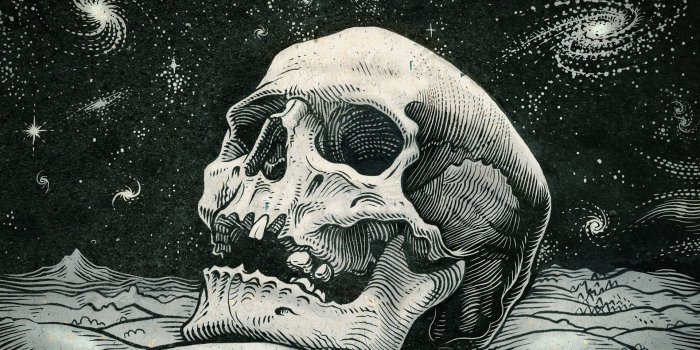 1920x1080 Download Skull Wallpapers High Definition Is Cool Wallpapers