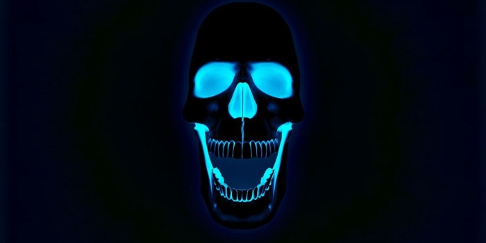 1440x900 Download Awesome skull wallpaper IBackgroundsNet [1664x1040] | 74+