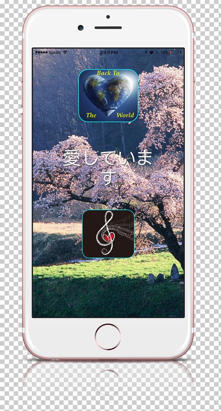 728x1353 Erza Scarlet Fairy Tail Anime Student Kyoto PNG, Clipart, Anime