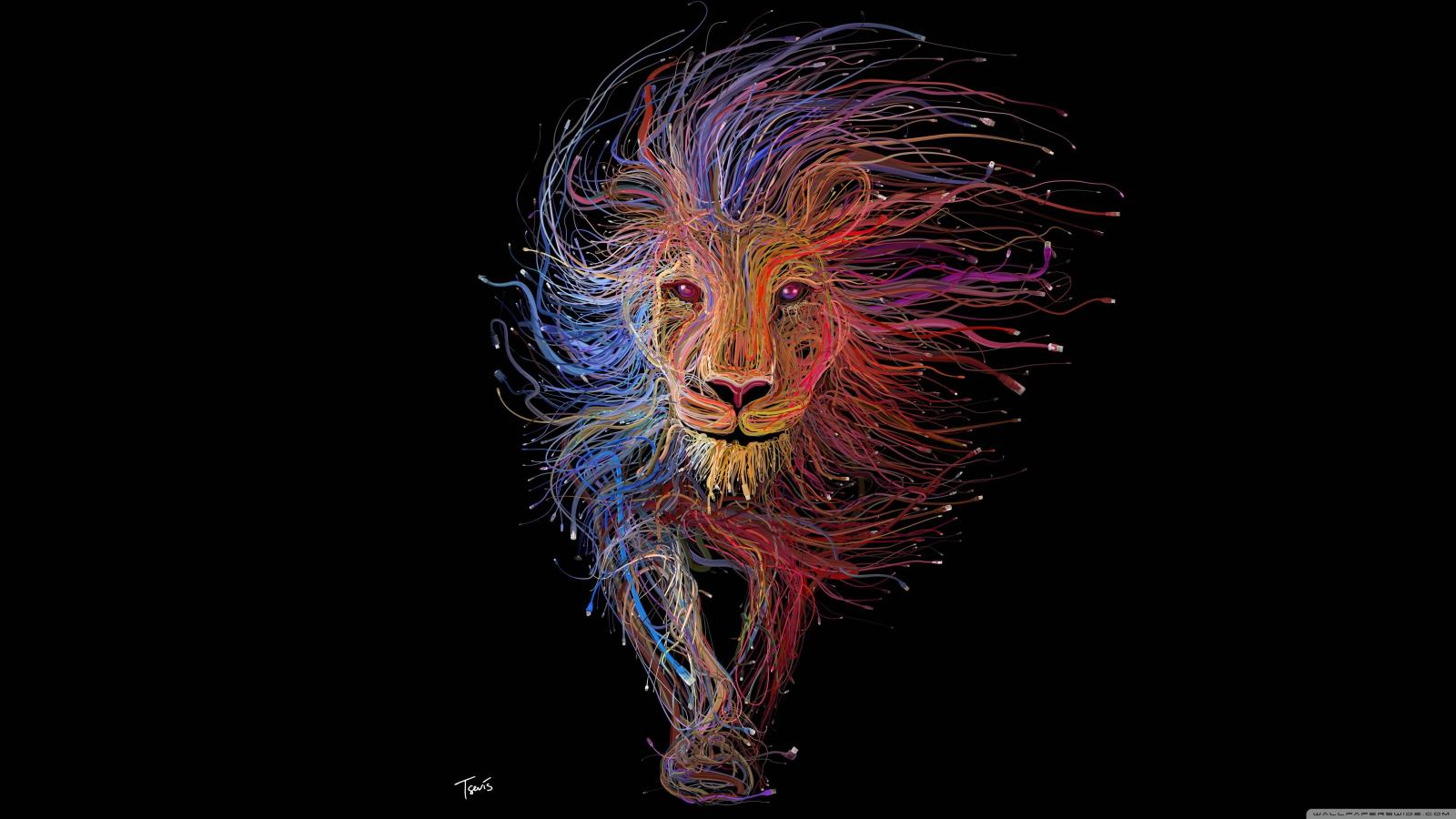 3840x2160 Download the Cat6 Cable Lion Wallpaper, Cat6 Cable Lion iPhone
