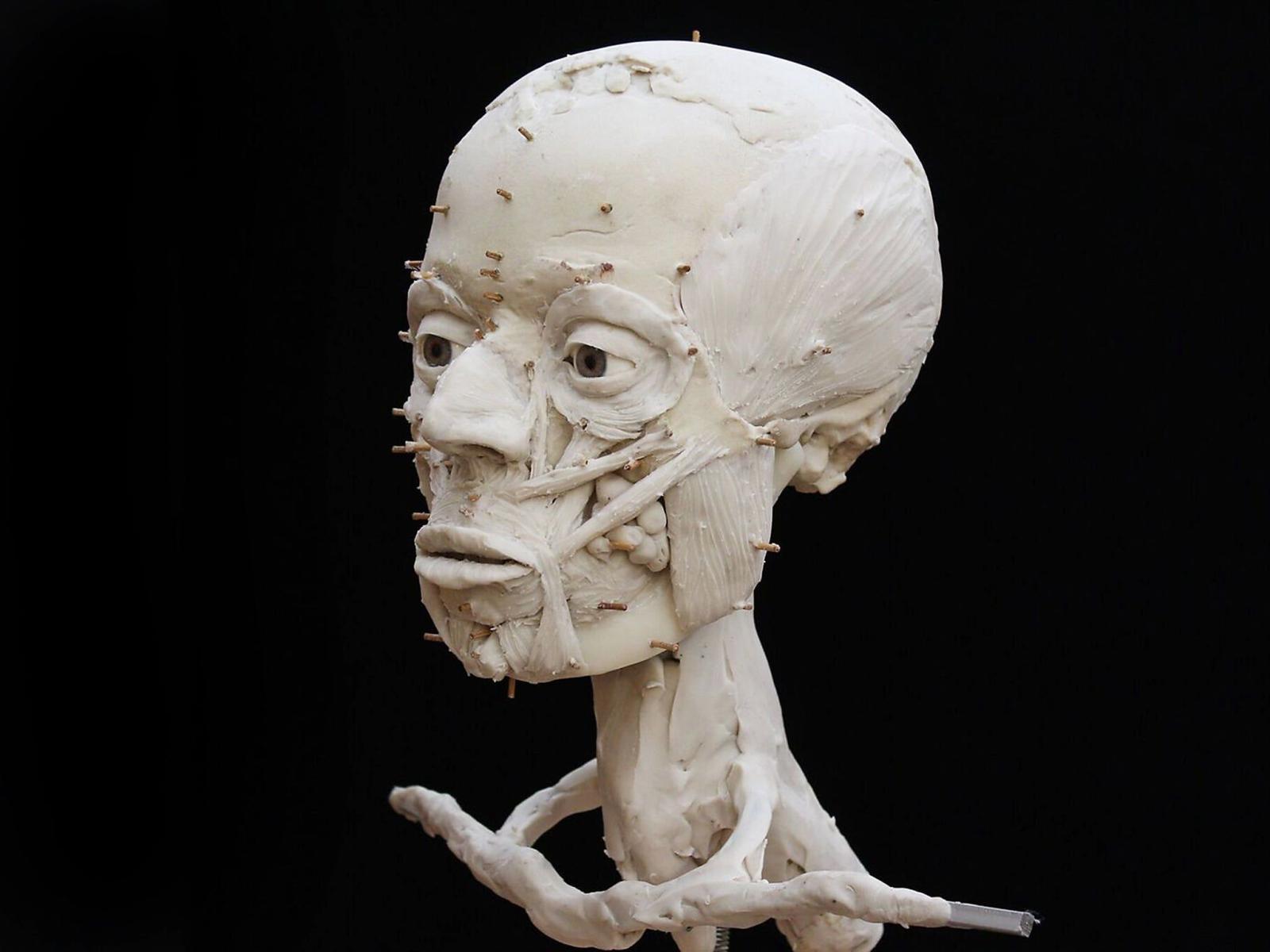 2048x1536 The Jericho Skull: Just as they were about to leave the site