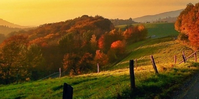 1080x1920 35+ Countryside iPhone Wallpapers - Download at WallpaperBro