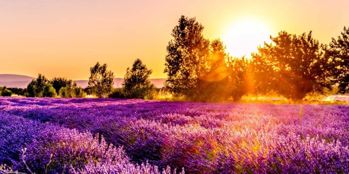 1600x900 August 4, 2019 – Wallpaper for iPhone, iPod and iPad – shilfa