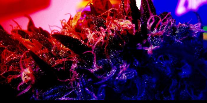 1680x1050 1080P HD Wallpaper Trippy | Trippy Smoke Wallpapers - HD Wallpapers