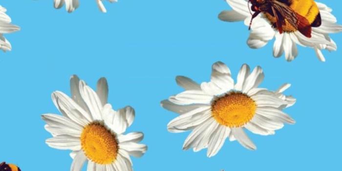 1152x2048 Golf Wang Iphone Wallpaper - (48+) Group Wallpapers