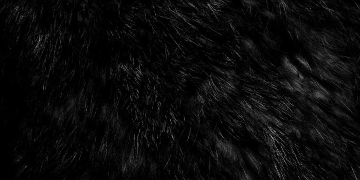 1536x1165 black fur | Favorite colors | Fur background, Shades of black, Black