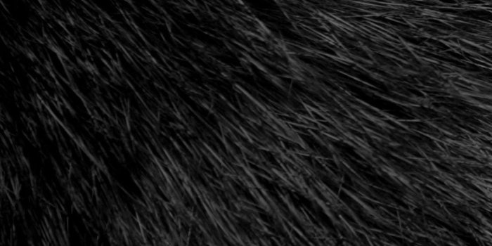 1080x1920 40+ Black Fluffy Wallpapers - Download at WallpaperBro