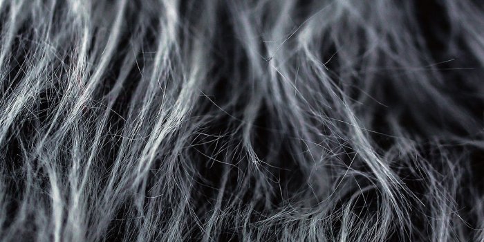 1242x2208 iPhonepapers.com | iPhone wallpaper | vo24-fur-designer-dark-bw-pattern