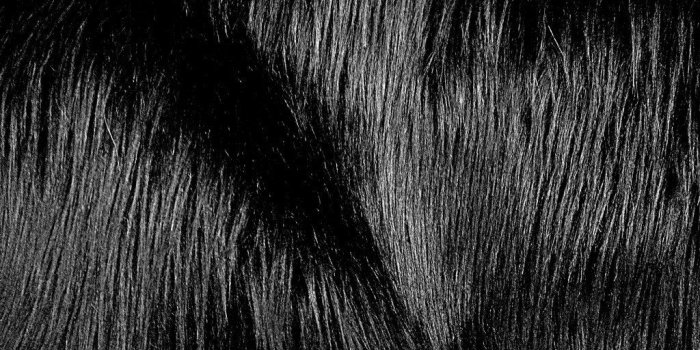 1024x768 36+] Faux Fur Wallpaper on WallpaperSafari