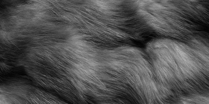 2560x1690 gray_fur_skin_texture_hd-wallpaper-287569 | Fur Creations By Jan