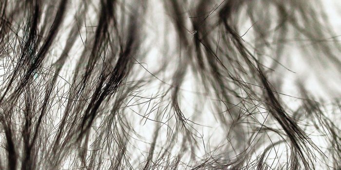 1125x2436 iPhoneXpapers.com | iPhone X wallpaper | vo25-fur-designer-black-pattern