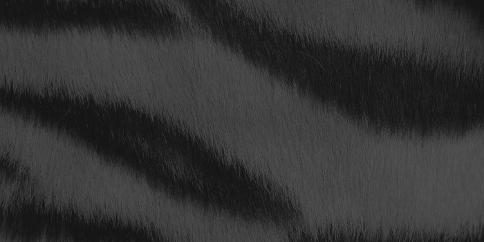 3840x2400 wallpaper for desktop, laptop | vh35-wild-cat-texture-fur-dark