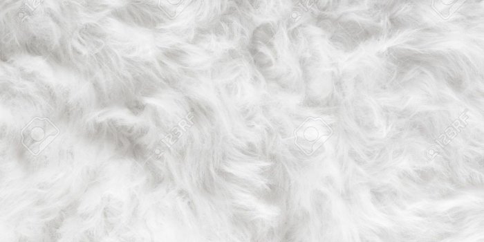 1300x866 18112 white fur wallpaper