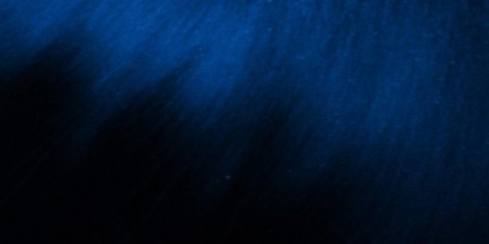 1080x1920 Download Blue Fur Wallpaper (39+) - Free Wallpaper For your screen.