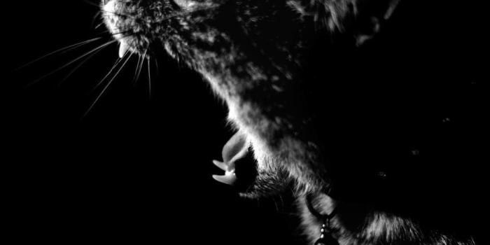 940x1410 OLED wallpapers for the iPhone X, Google Pixel 2, Galaxy S8, Galaxy