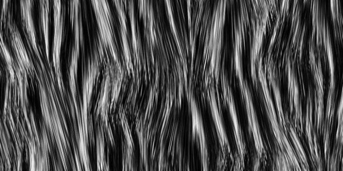 720x1280 Tree, Fur, Snake, Snakes, Wool HD Wallpaper for Android Phone