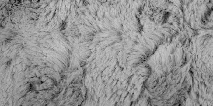 1920x1440 Gray,grey,black,and,white - free photo from needpix.com