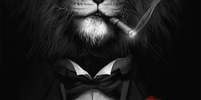 1080x1920 10 Wallpaper Black Lion - Download Wallpaper HD For PC Computer