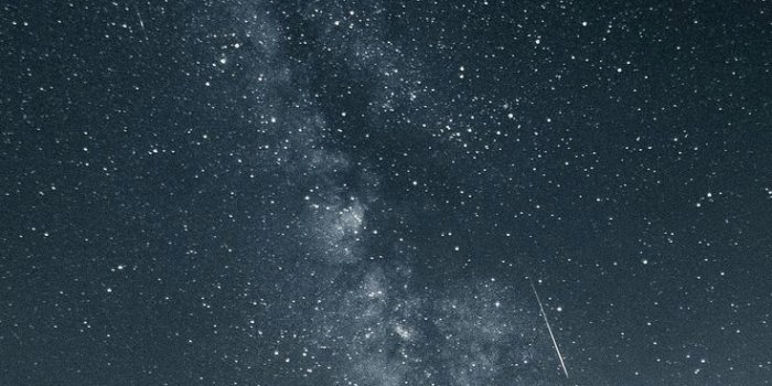 736x1308 10 Wallpaper Black Desert 4k - Download Wallpaper HD For PC Computer