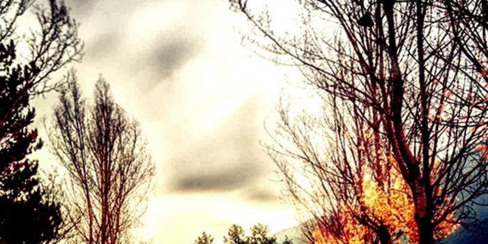 1242x2208 30 Pretty/Beautiful Wallpapers for iPhone